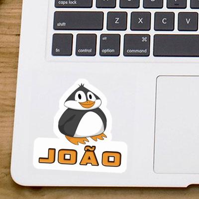 Sticker João Pinguin Sticker João Pinguin Image