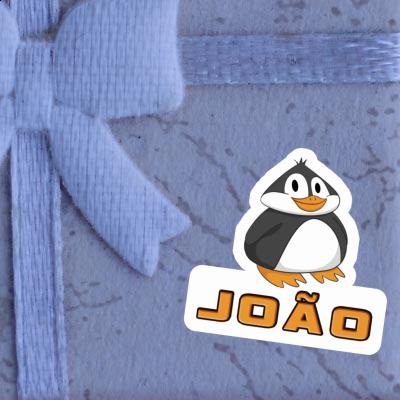 Sticker João Pinguin Laptop Sticker João Pinguin Laptop Image