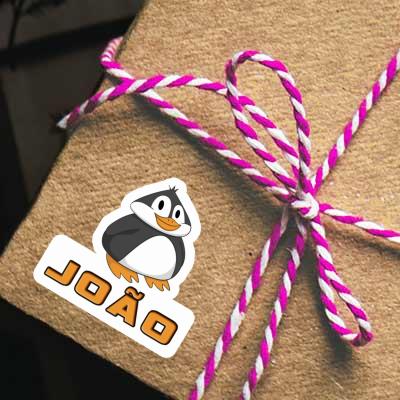 Sticker João Pinguin Notebook Sticker João Pinguin Notebook Image