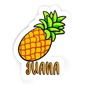 Ananas Autocollant Juana Image