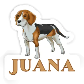 Autocollant Beagle Juana Image