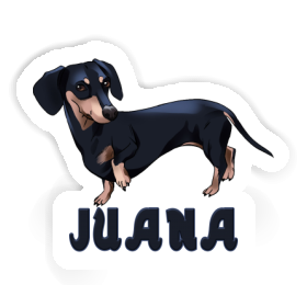 Juana Autocollant Teckel Image