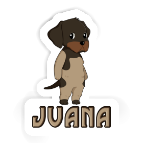 Drahthaar Autocollant Juana Image