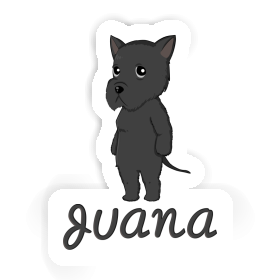 Schnauzer géant Autocollant Juana Image