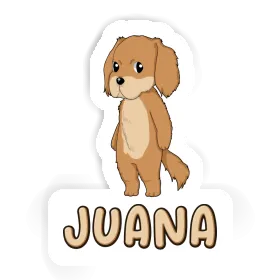 Autocollant Hovawart Juana Image