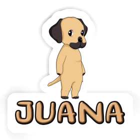 Autocollant Juana Rhodésian Ridgeback Image