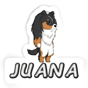 Autocollant Juana Shetland Image