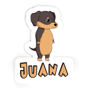 Teckel Autocollant Juana Image