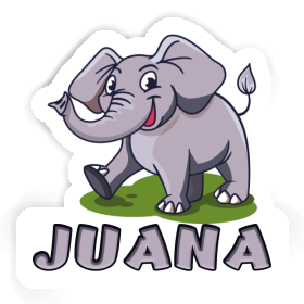 Autocollant Éléphant Juana Image