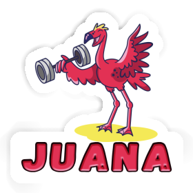 Flamingo Aufkleber Juana Image