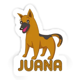 Autocollant Chien de berger Juana Image