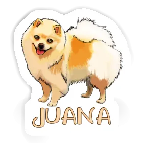 Autocollant Spitz allemand Juana Image