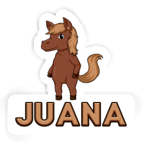 Juana Sticker Horse Image