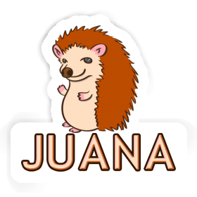 Juana Autocollant Hérisson Image