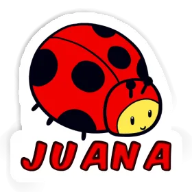 Sticker Marienkäfer Juana Image