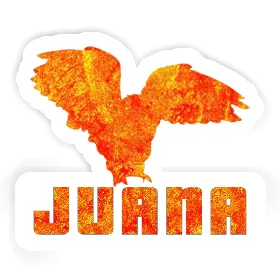 Aufkleber Eule Juana Image