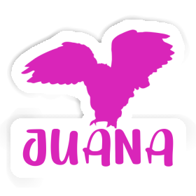 Sticker Juana Eule Image