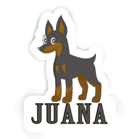 Juana Autocollant Pinscher Image