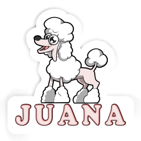 Autocollant Caniche Juana Image