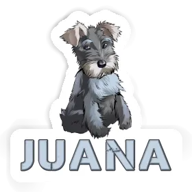 Autocollant Juana Schnauzer Image