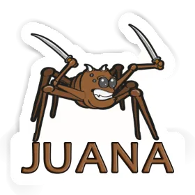 Autocollant Araignée Juana Image