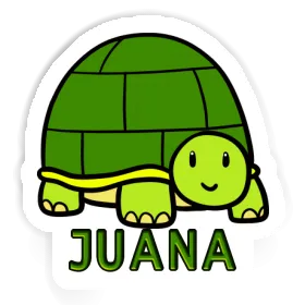Autocollant Tortue Juana Image