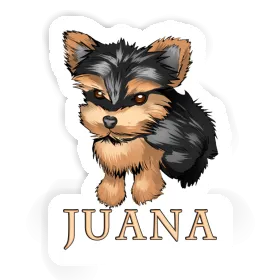 Yorkie Autocollant Juana Image