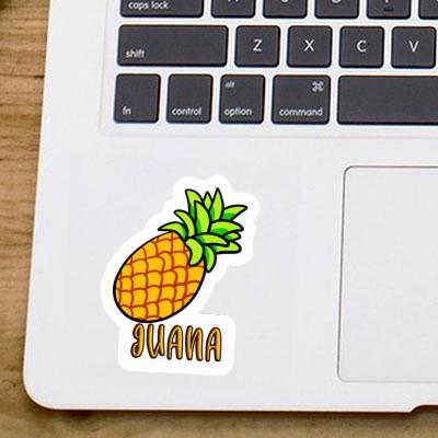 Juana Sticker Pineapple Laptop Image