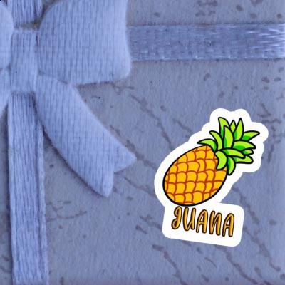 Juana Sticker Pineapple Notebook Image