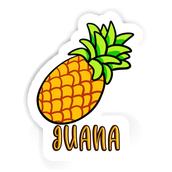 Juana Sticker Pineapple Image