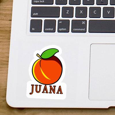Sticker Apricot Juana Laptop Image