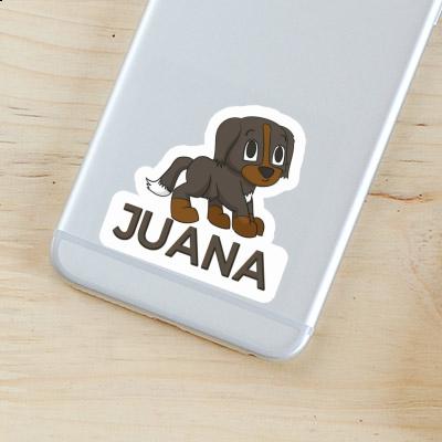Berner Sennenhund Sticker Juana Notebook Berner Sennenhund Sticker Juana Gift package Image