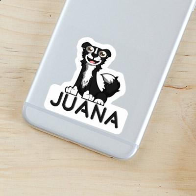 Autocollant Collie Juana Gift package Image