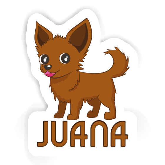Autocollant Chihuahua Juana Gift package Image
