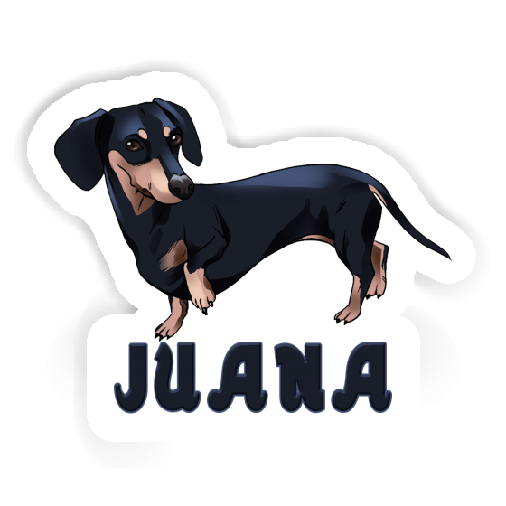 Juana Sticker Dachshund Juana Sticker Dachshund Image