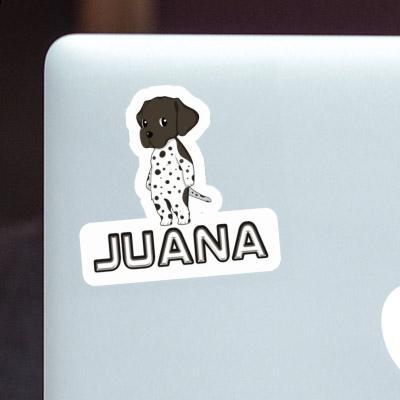 Sticker Juana Deutsch Kurzhaar Sticker Juana Deutsch Kurzhaar Image