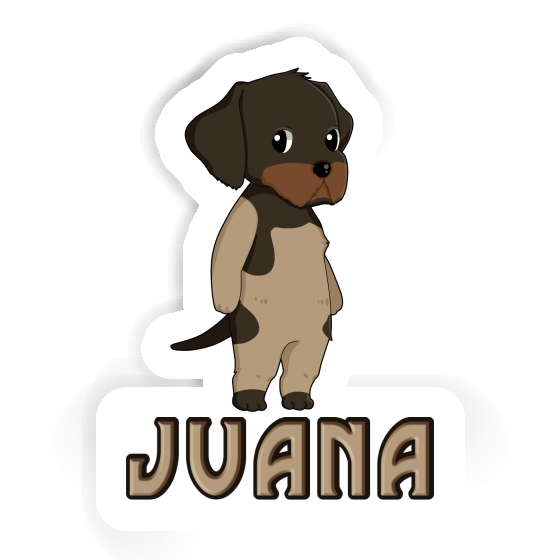 Drahthaar Autocollant Juana Gift package Image