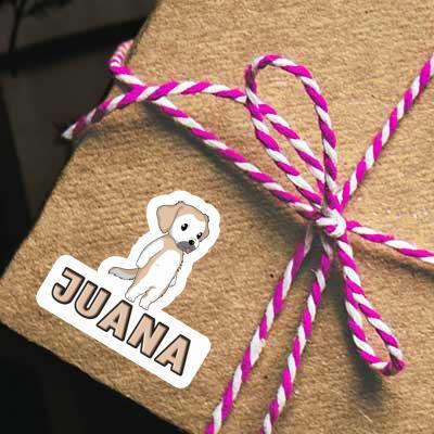 Aufkleber Golden Retriever Juana Notebook Aufkleber Golden Retriever Juana Gift package Image