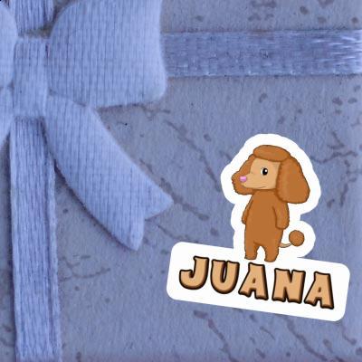 Juana Autocollant Caniche Notebook Juana Autocollant Caniche Gift package Image