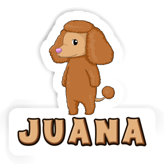 Juana Autocollant Caniche Notebook Juana Autocollant Caniche Notebook Image