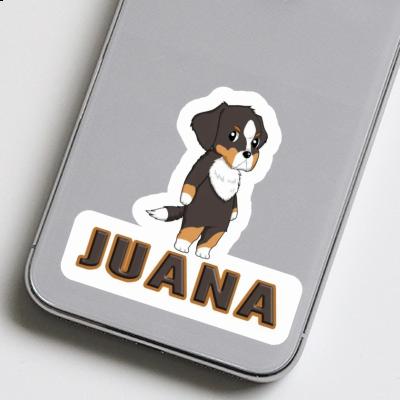 Autocollant Bouvier bernois Juana Laptop Image