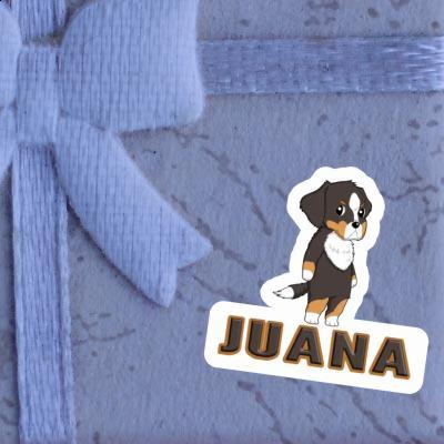 Sticker Bernese Mountain Dog Juana Image