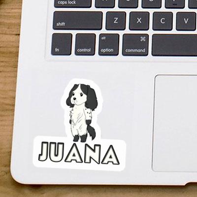 Juana Autocollant Cocker anglais Notebook Juana Autocollant Cocker anglais Gift package Image