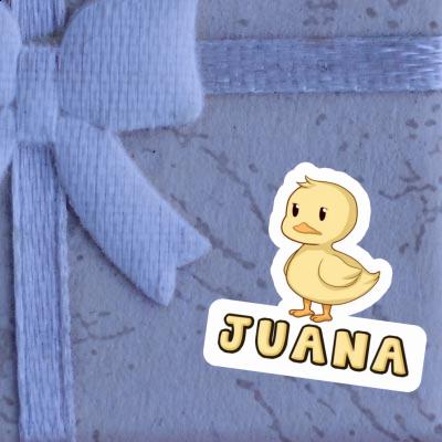 Ente Sticker Juana Notebook Ente Sticker Juana Gift package Image