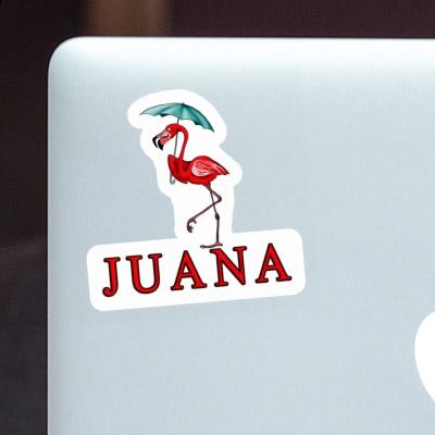 Autocollant Juana Flamant Laptop Image