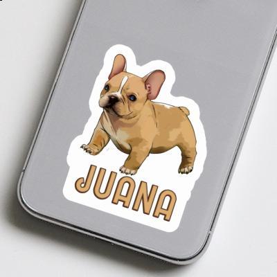Autocollant Juana Bouledogue Gift package Image