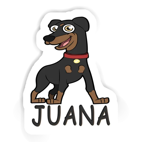Sticker German Pinscher Juana Gift package Image