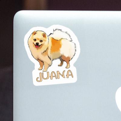 Autocollant Spitz allemand Juana Notebook Image