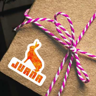 Sticker Juana Rabbit Laptop Sticker Juana Rabbit Laptop Image