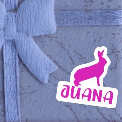 Autocollant Lapin Juana Notebook Image